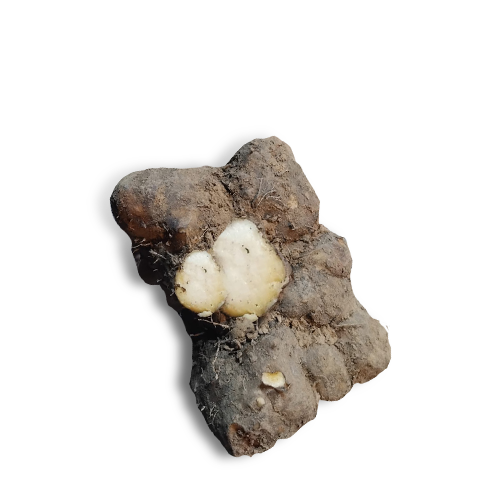 Gach Alu (Air Potato/Yam)~ 500 Gm